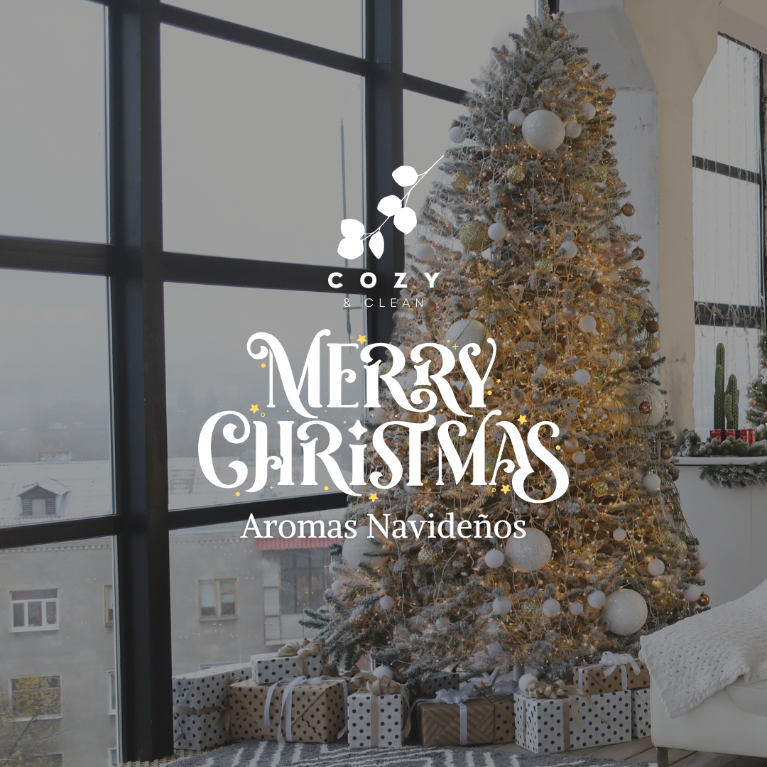Christmas Edition